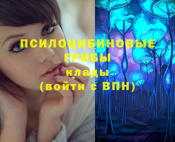 тгк Алексин