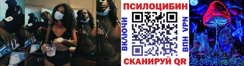 ссылка на мегу как зайти  Чусовой  Галлюциногенные грибы Psilocybine cubensis 