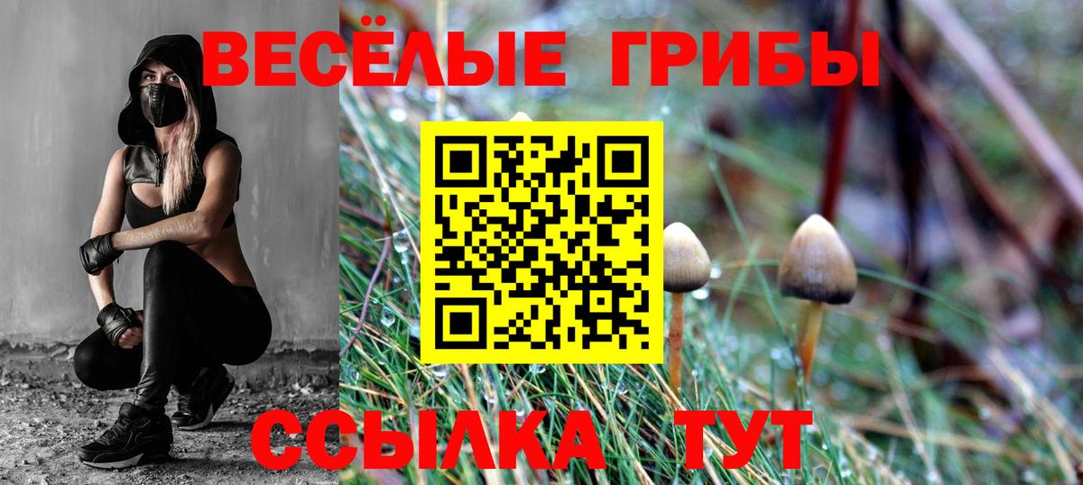 Чусовой  Галлюциногенные грибы мухоморы  Вход с VPN  Псилоцибиновые грибы мухоморы 